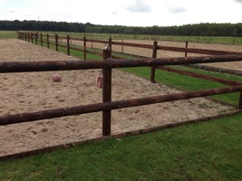 Paardenbak hout